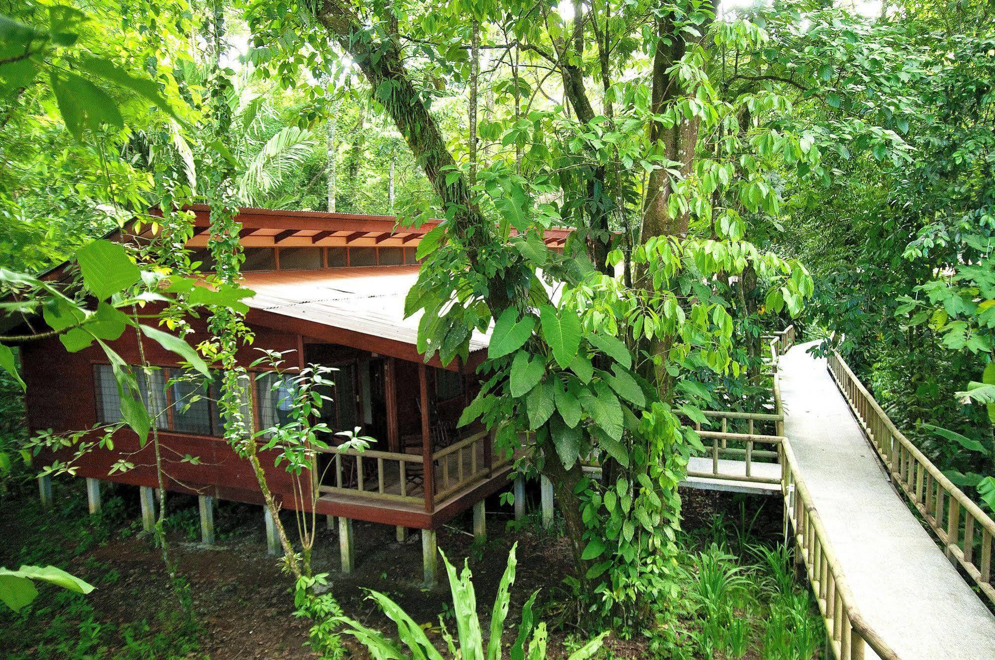 Evergreen Lodge 토르투게로 외부 사진